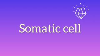 What is Somatic cell [upl. by Esiled]