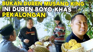 INI BUKAN DUREN MUSANG KING  INI DUREN BOYO KHAS PEKALONGAN [upl. by Stalder]