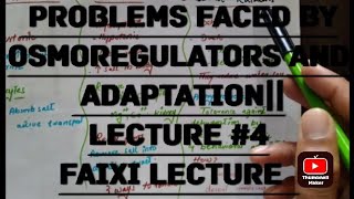 problems faced by osmoregulators and adaptation of osmoregulators lecture 4faixi lecture [upl. by Lindgren]