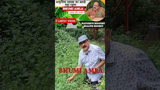 Bhumi Amla ke Chamatkari Fayde  Boost Your Health Naturally [upl. by Jaimie]