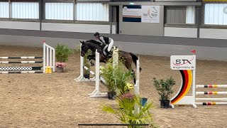 5yo Colombina 🐻 did it like a pro at her first indoor show 🤩❤️ colman [upl. by Daigle]