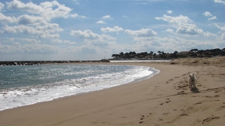 Esclamandes Beach in SaintAygulf  France [upl. by Eladnek]