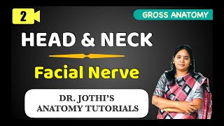 Head amp Neck  Facial Nerve Anatomy GROSS ANATOMY CLASS  2 [upl. by Salb]