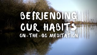 Befriending Our Habits  OnTheGo Meditation Guided by Brother Phap Huu [upl. by Nylesoy]