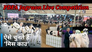 PDFA Jagraon Live Competition Nain Dairy Farm [upl. by Mercer]