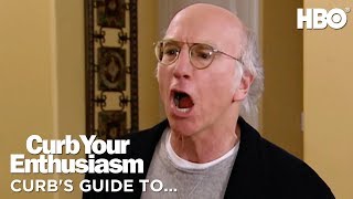 Insults 101 w Larry David  Curb Your Enthusiasm 2017  HBO [upl. by Fornof]