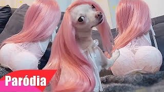 VIDEOS ENGRAÇADOS DE ANIMAIS  TENTE NÃO RIR COMPLETO COMPILADO  PARÓDIA [upl. by Suiravad]