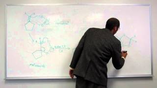 Ozonolysis of an Alkene  Reductive WorkUp 001 [upl. by Aisela]