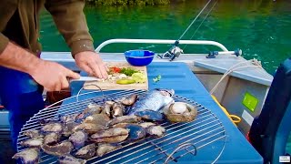 Solo Boat Camping BBQ Catch And Cook Adventure [upl. by Mada]