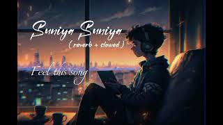 Suniya suniya rata lofi song  reverb  slowed music lofimusic [upl. by Annawyt]