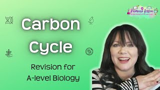 Carbon Cycle  Revision for Biology ALevel [upl. by Hairabez]