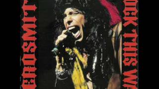 Aerosmith Red House Live Switzerland 90 [upl. by Grazia]