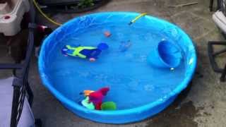 How To Empty a Kids Pool [upl. by Penney]