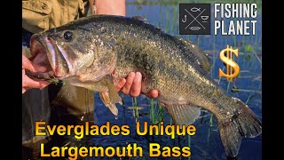 Fishing Planet Florida Everglades unique Largemouth Bass [upl. by Ialocin]