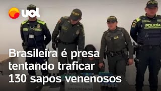 Brasileira é presa tentando traficar 130 sapos venenosos na Colômbia [upl. by Sauveur]