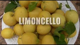 LIMONCELLO Italian liqueur [upl. by Esiuqcaj807]