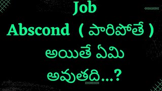 Job Absconding Means  Can I Get A Job After Absconding  What Happened If U Abscond  Telugu [upl. by Eniarda576]