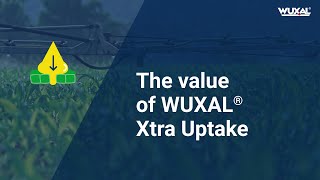 The value of WUXAL Xtra Uptake [upl. by Krahmer596]