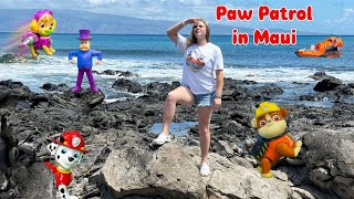 Assistant Looks for Paw Patrol Mayor Humdingers treasure in Maui Tide Pools [upl. by Budwig406]