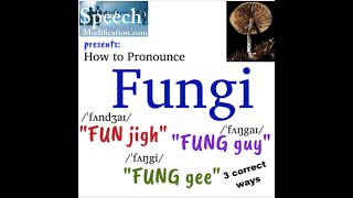 How to Pronounce Fungi 3 Correct Ways [upl. by Nayrb]