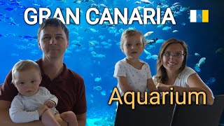 Gran Canarias huge aquarium and Maspalomas beach [upl. by Esirec]