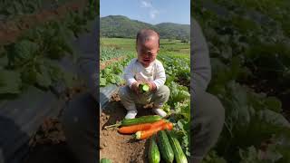 Baby playing in the vegetable patch [upl. by Ahsinet705]