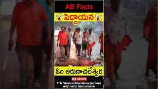 🙏పెద్దాయన🙏 Power of arunachala giri pradakshina telugufacts facts shorts youtubeshorts abfacts [upl. by Ellerad725]