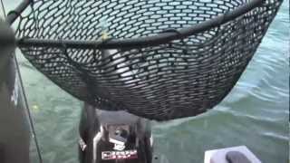 Odell Lake Kokanee amp Diamond Lake Trout Fishing Tactics [upl. by Duaner]