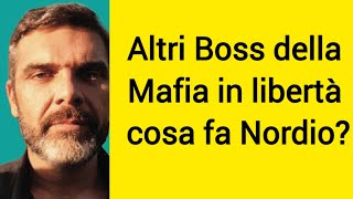 Nuovi boss della Mafia in libertà cosa fa Governo Meloni [upl. by Anitselec368]