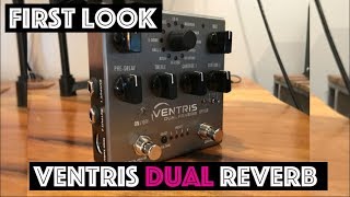 Ventris Dual Reverb by Source Audio  First Look [upl. by Macy]