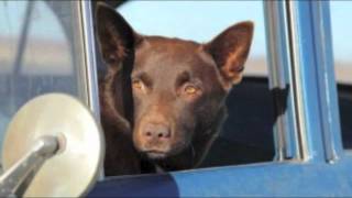 Red Dog  Soundtrack Nancy and John by Cezary Skubiszewski [upl. by Gannes]