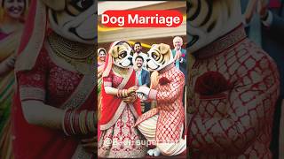 Dog Marriage 🦮shortsdogfactsfunnycartooncatcuteanimalscatloverdogloverfunnyvideofyptop [upl. by Jehovah]