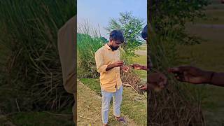 Happy diwali advance 💥🎇🎆🌠comedyvideos funny trindingshorts viralvideo funny shortvideos [upl. by Peh]