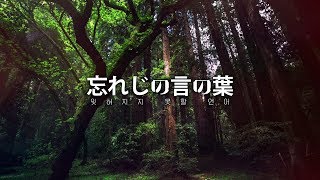 DALNODO 忘れじの言の葉 잊혀지지 못할 언어 KORVer COVER [upl. by Omiseno]