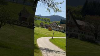 sunnyday germany beautiful dayviralvideo germany schwarzwald sunday [upl. by Valentine]