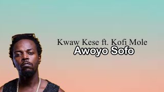 Kwaw Kese  Awoyo Sofo Lyrics Video [upl. by Rohclem]