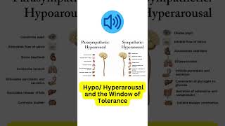 Nervous system activation Hypo and Hyperarousal  the Window of Tolerance [upl. by Henryk]