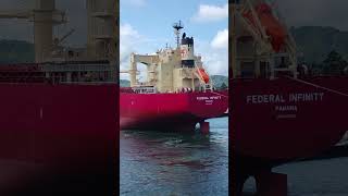 Bulk cargo ship Federal Infinity ship cargoship [upl. by Calondra]