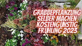 Grabstätte Kostengünstig für den Frühling 2023 selber bepflanzen  Inklusive Tipps und Tricks [upl. by Aneeroc756]