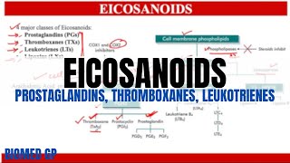 Eicosanoids Prostaglandins Thromboxanes and Leukotrienes [upl. by Kind138]