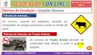 21 NORMAS DE CIRCULAÇÃO  Luzes e Buzina Pedestres Animais e Outros [upl. by Spence839]