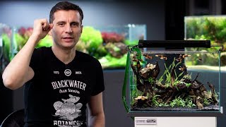 HOW TO BUILD A LOW BUDGET PLANTED TANK [upl. by Gnidleif]