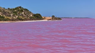 Hutt Lagoon  The Pink Lake  Yallabatharra  WA [upl. by Einneb]