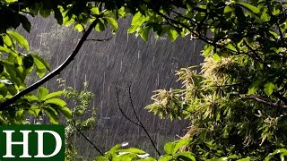 Regen  HD  Regengeräusche und Naturgeräusche [upl. by Eri939]