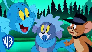 Tom amp Jerry in italiano  Il nuovo amico di Tom  WB Kids [upl. by Soiritos]