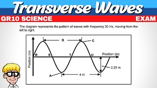 Exam Transverse Waves Grade 10 [upl. by Anirt924]