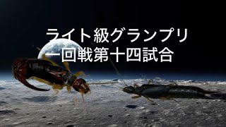 オオハサミムシ33mmvsブラックロングホーンハサミムシ27mm蟲斗ライト級グランプリ3一回戦第十四試合 [upl. by Mongeau]