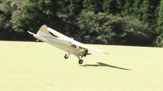 Crash Landing DHC2 Beaver RC Plane Maiden Flight [upl. by Hassin]