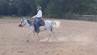 Gianna Tanzi Lady Inspiration Youth WT Ranch Riding [upl. by Ednarb]