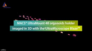 MACS® UltraMount 48 organoids holder imaged in 3D with the UltraMicroscope Blaze™ [upl. by Wehttan59]